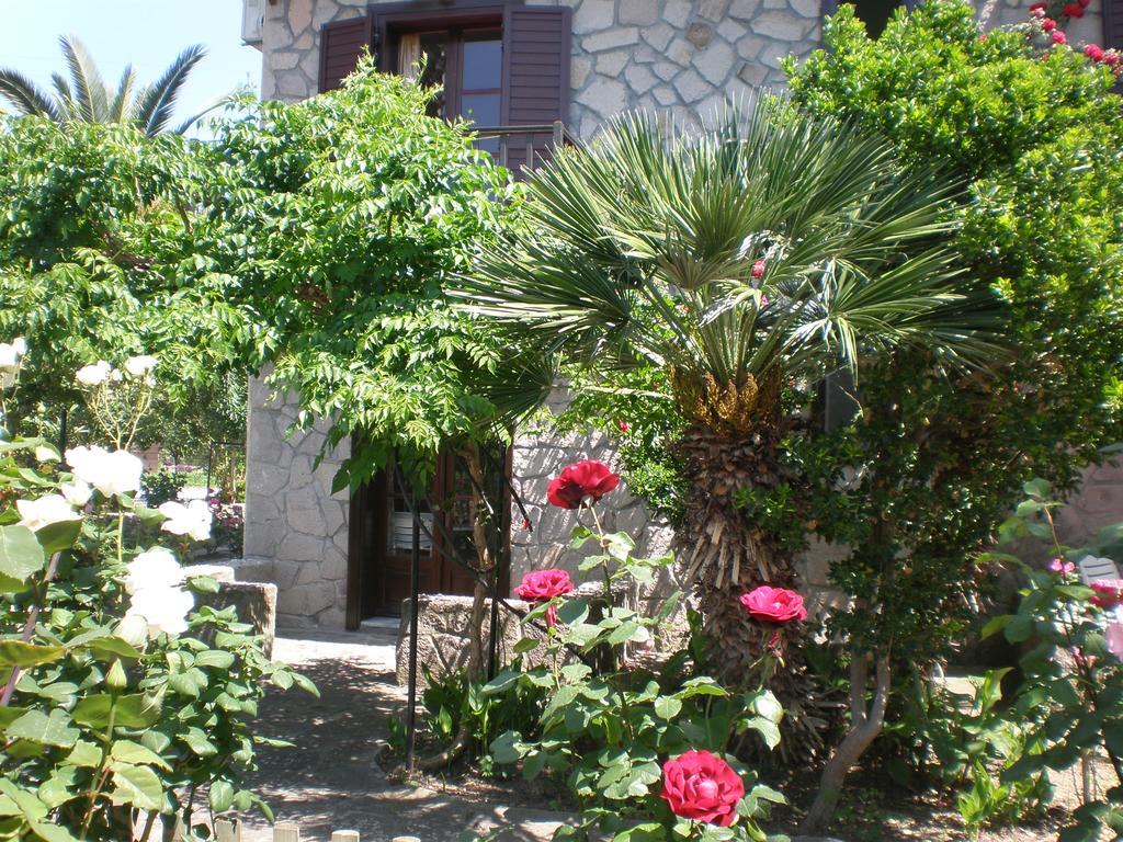 Apartment Islands *